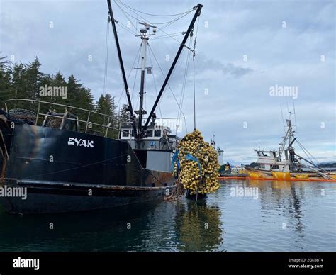 Sitka Contaminated Sites .